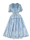 V-neck Floral Embroidered Blue Dress