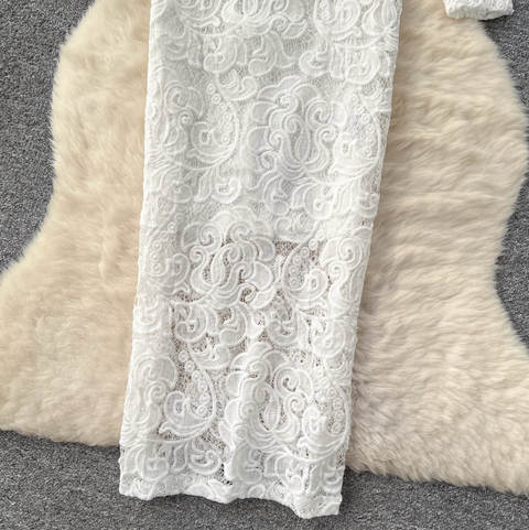 Elegant White Lace Embroidery Dress