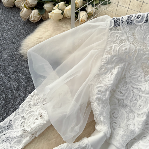 Elegant White Lace Embroidery Dress