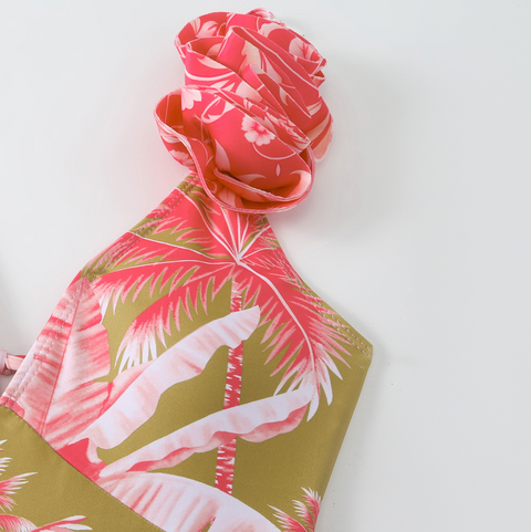 Ruffled Floral Slip Swimwear & Skirt 2Pcs