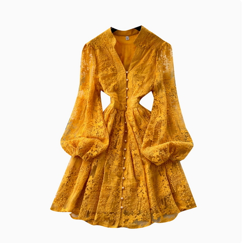 Floral Embroidery Mesh A-line Dress