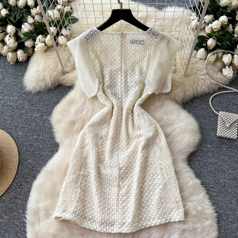 Niche Beaded Embroidered Party Dress