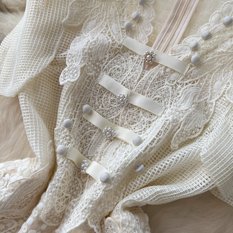 Niche Beaded Embroidered Party Dress