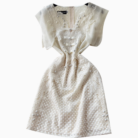 Niche Beaded Embroidered Party Dress