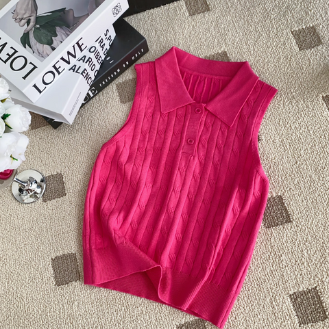 Niche Polo Collar Knitted Top