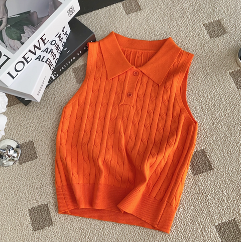 Niche Polo Collar Knitted Top