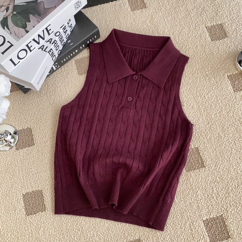 Niche Polo Collar Knitted Top