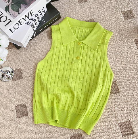 Niche Polo Collar Knitted Top