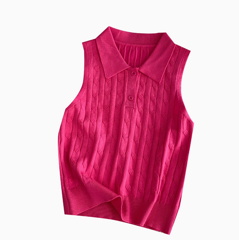 Niche Polo Collar Knitted Top