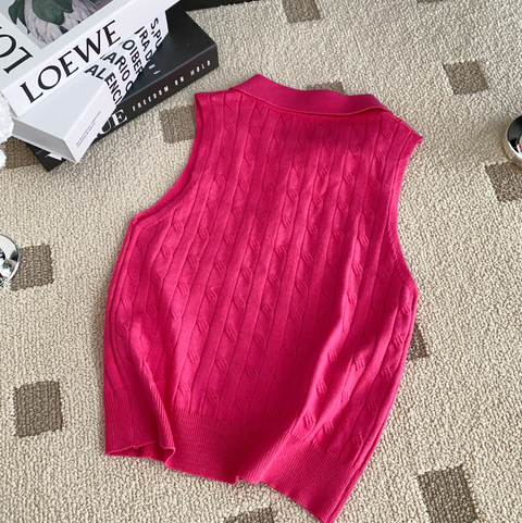 Niche Polo Collar Knitted Top