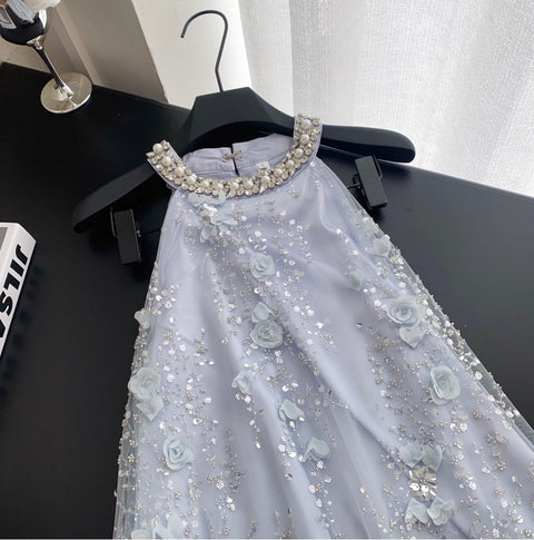 Beaded Sleeveless A-line Mesh Dress