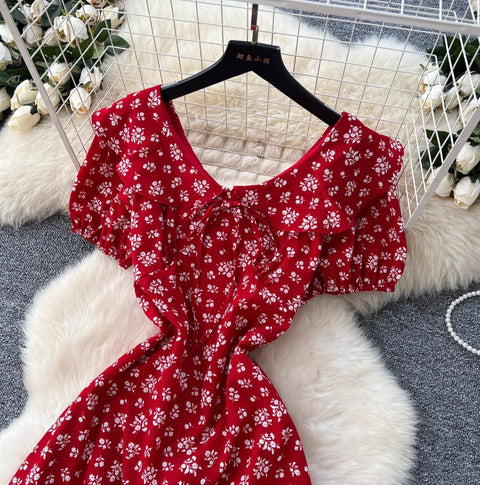 Sweetie Doll Collar Floral Dress