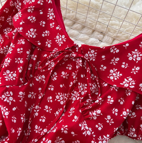 Sweetie Doll Collar Floral Dress
