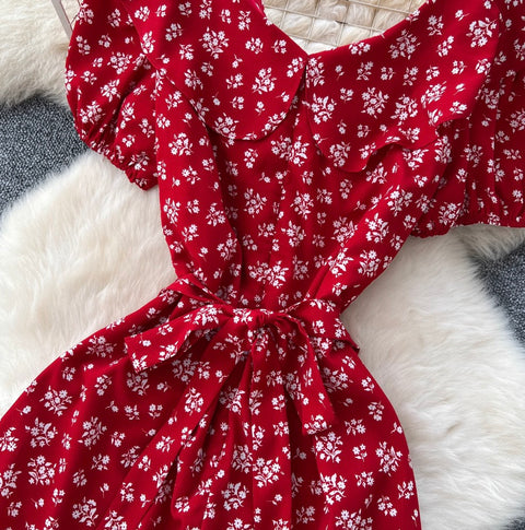 Sweetie Doll Collar Floral Dress