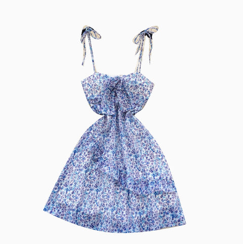 Hollowed Backless Floral Chiffon Slip Dress