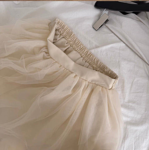 Embroidered Lace Camisole & Skirt 2Pcs