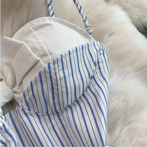 Striped Printed Camisole & Skirt 2Pcs