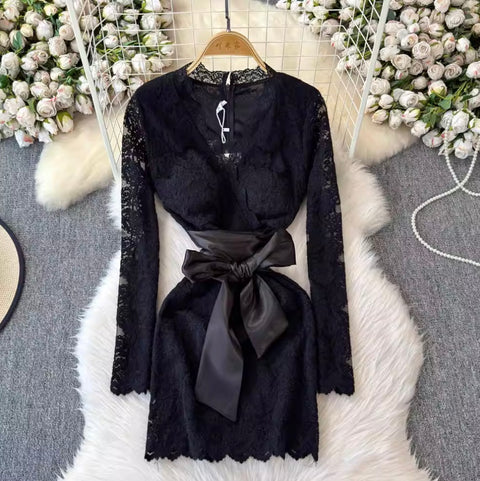 Sexy V-neck Embroidered Lace Dress