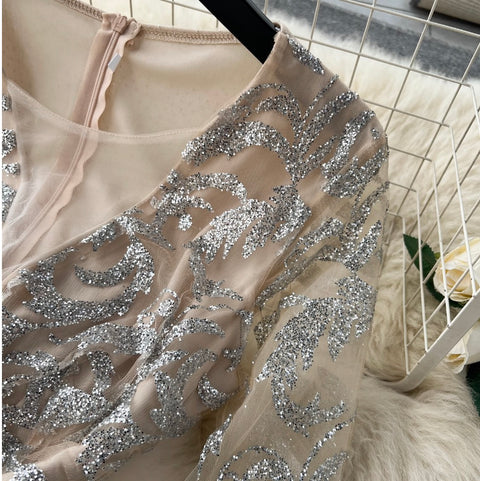 Premium Sequined Ruffled Mesh Dress
