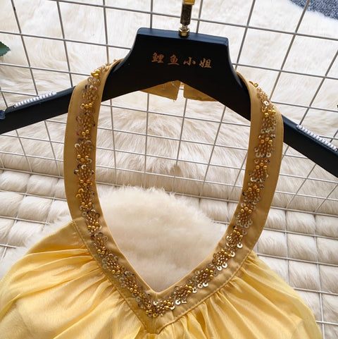 Embroidery Sequined Halter Top