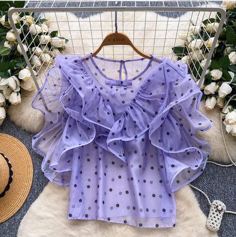 Niche Polka Dot Mesh Shirt