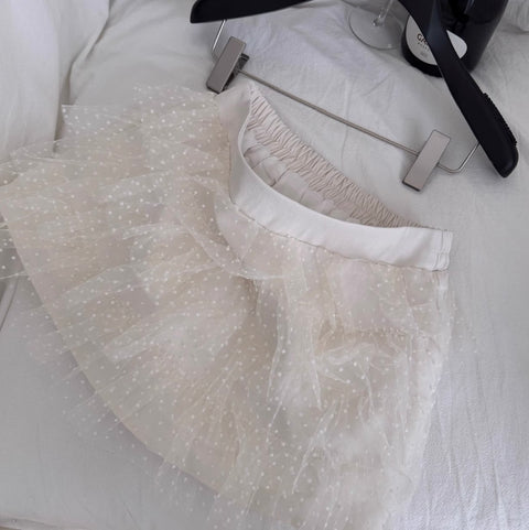 Courtly Lace Top & Mesh Skirt 2Pcs