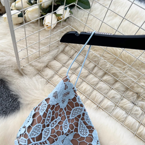 Embroidered Lace Camisole & Mesh Skirt 2Pcs