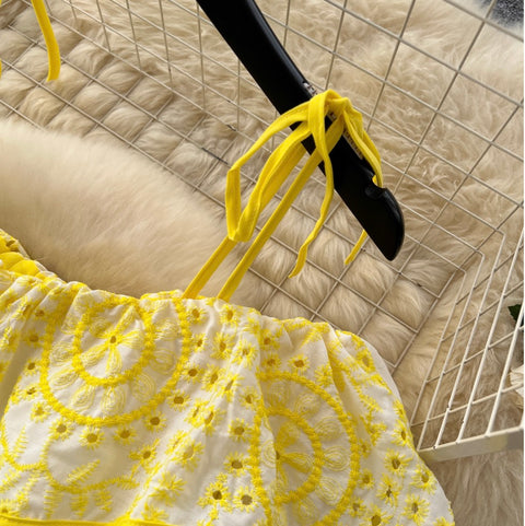 Off-shoulder Ruffled Embroidered Slip Dress