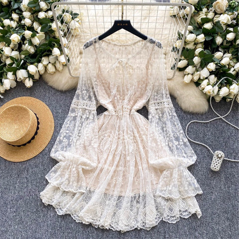Fairy Embroidered Apricot Mesh Dress