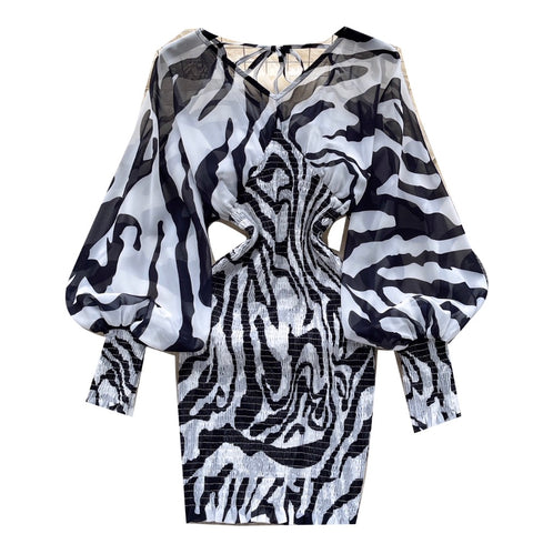 Chic V-neck Zebra Printed Dress