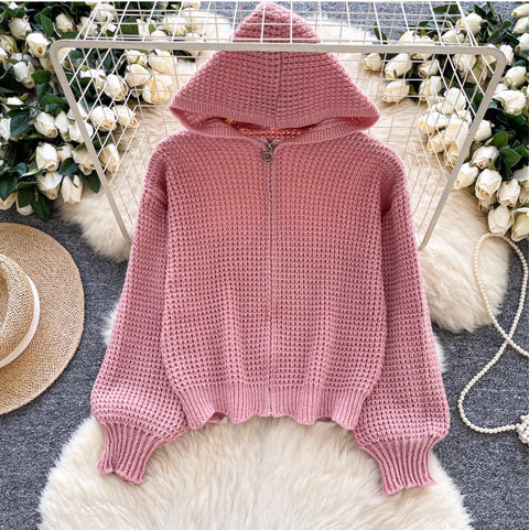 Korean Style Hollowed Hooded Cardigan