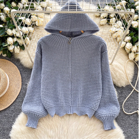 Korean Style Hollowed Hooded Cardigan