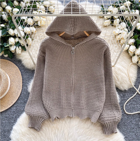 Korean Style Hollowed Hooded Cardigan