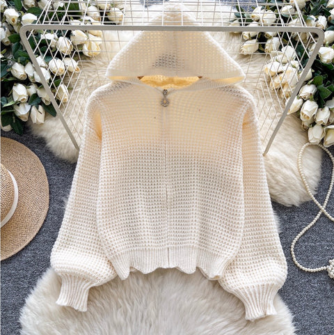 Korean Style Hollowed Hooded Cardigan
