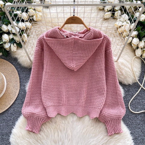 Korean Style Hollowed Hooded Cardigan