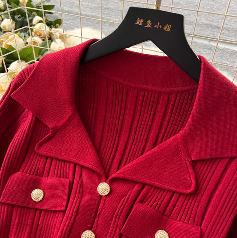 Premium Doll Collar Knitted Dress