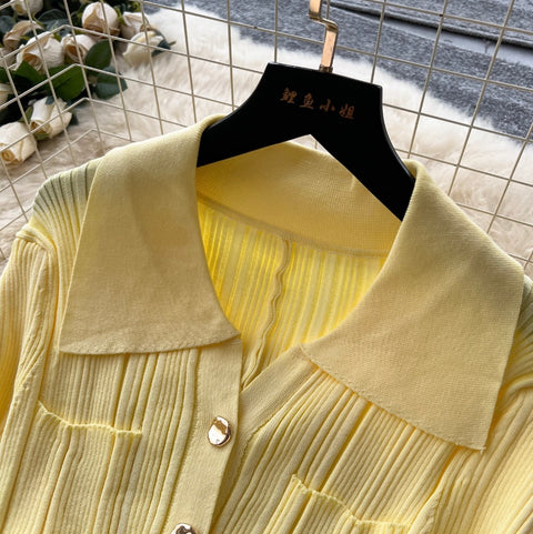 Simple Design Lapeled Knit Dress