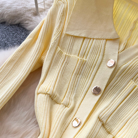 Simple Design Lapeled Knit Dress