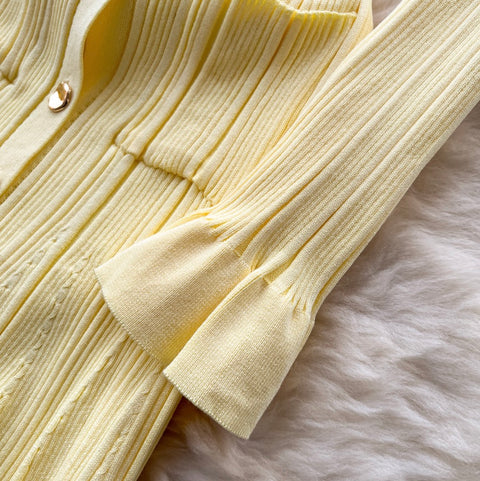 Simple Design Lapeled Knit Dress