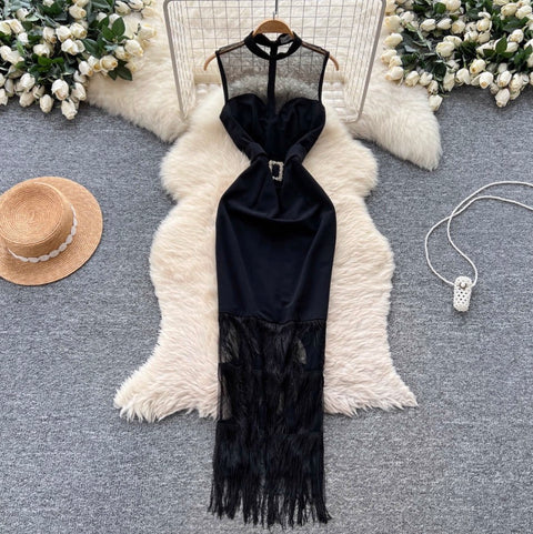 Elegant Black Mesh Fringed Dress
