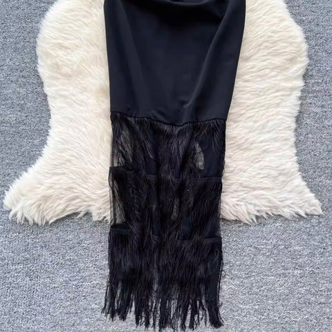Elegant Black Mesh Fringed Dress