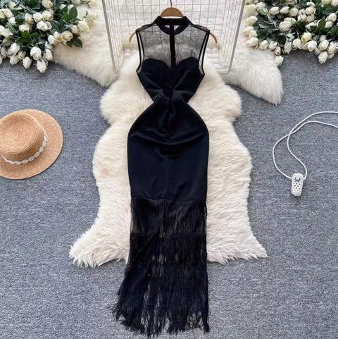 Elegant Black Mesh Fringed Dress
