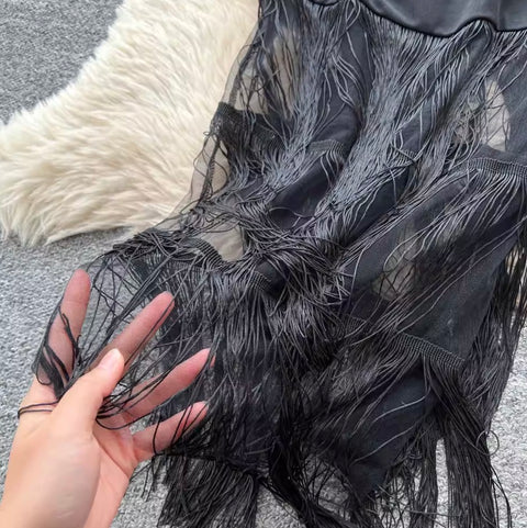 Elegant Black Mesh Fringed Dress
