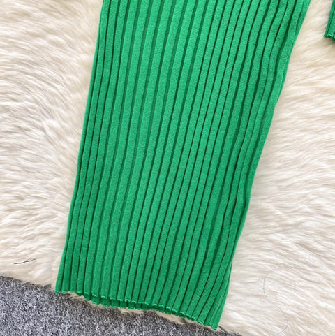 Simple Design Lapeled Knitted Dress