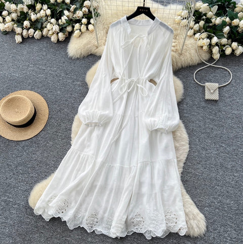 Elegant Hollowed Embroidery Dress