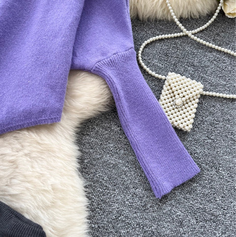 Irregular Design Sweater & Skirt 2Pcs