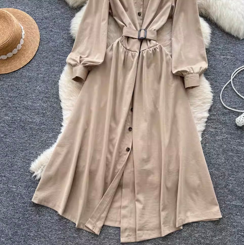 Niche V-neck Single-breasted Dress