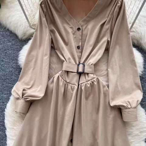 Niche V-neck Single-breasted Dress