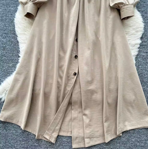 Niche V-neck Single-breasted Dress