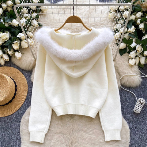 Furry Hooded Patchwork Hoodie